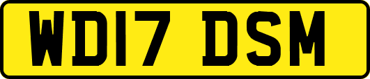 WD17DSM