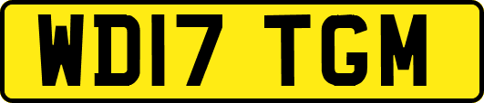 WD17TGM