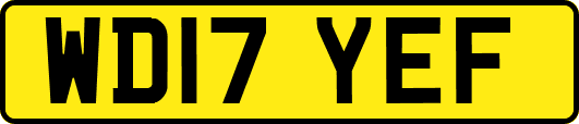WD17YEF
