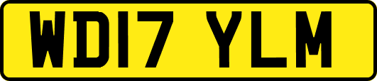 WD17YLM