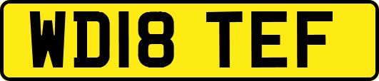 WD18TEF