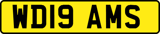 WD19AMS
