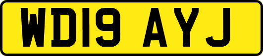 WD19AYJ