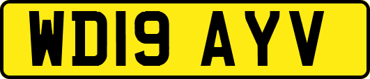 WD19AYV