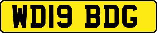 WD19BDG