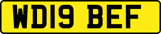 WD19BEF