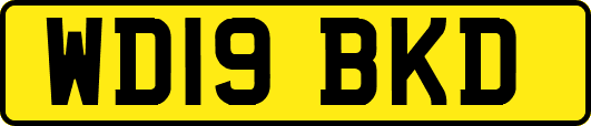 WD19BKD