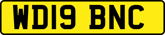 WD19BNC