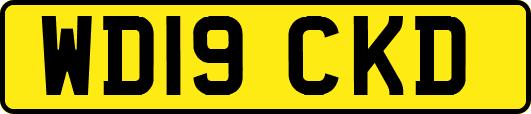 WD19CKD