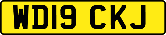 WD19CKJ