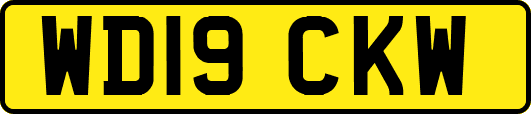 WD19CKW