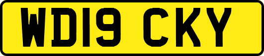 WD19CKY