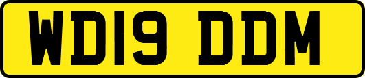 WD19DDM