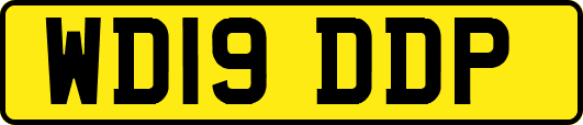 WD19DDP