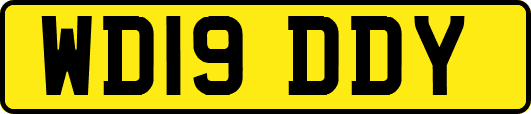 WD19DDY