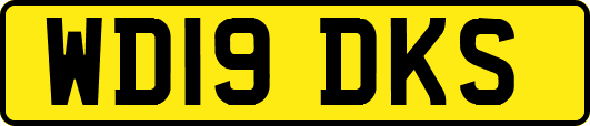 WD19DKS