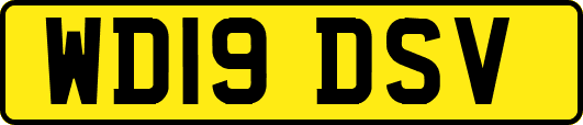 WD19DSV