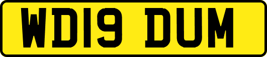 WD19DUM