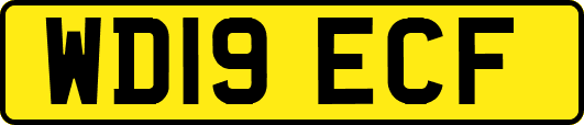 WD19ECF