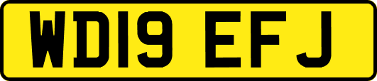 WD19EFJ