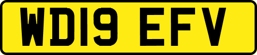 WD19EFV