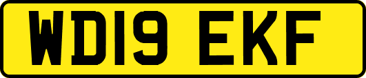 WD19EKF