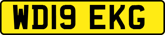 WD19EKG