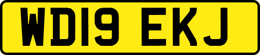 WD19EKJ