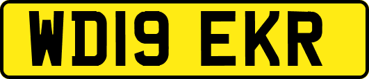 WD19EKR