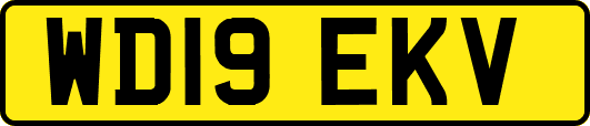 WD19EKV