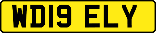 WD19ELY