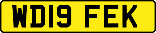 WD19FEK