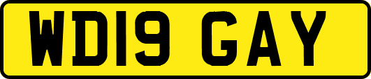 WD19GAY