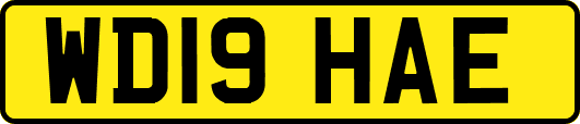 WD19HAE