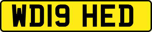 WD19HED