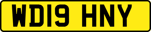 WD19HNY
