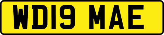 WD19MAE