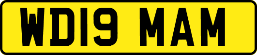 WD19MAM