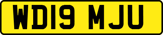 WD19MJU