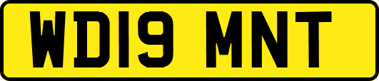 WD19MNT