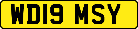 WD19MSY