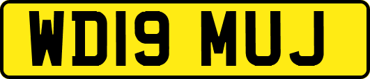 WD19MUJ