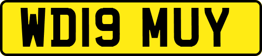 WD19MUY