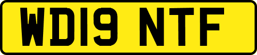 WD19NTF