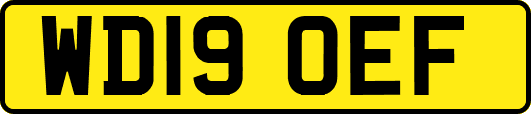 WD19OEF