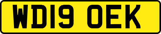 WD19OEK
