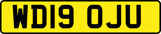 WD19OJU