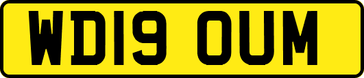 WD19OUM