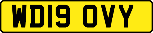 WD19OVY