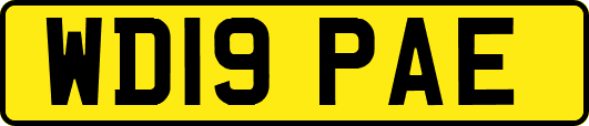 WD19PAE